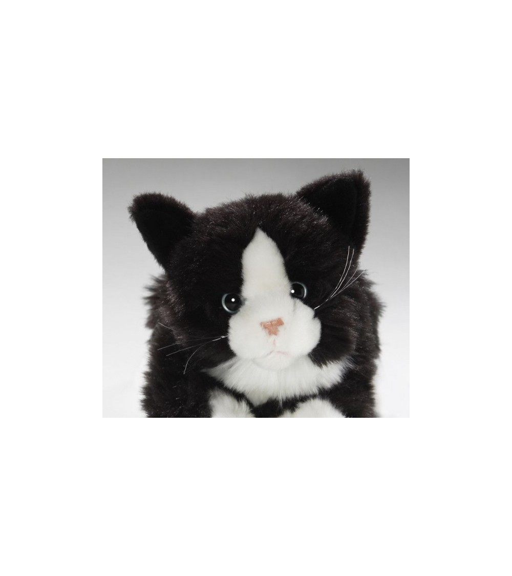 Katze Tuxedo schwarz-weiss