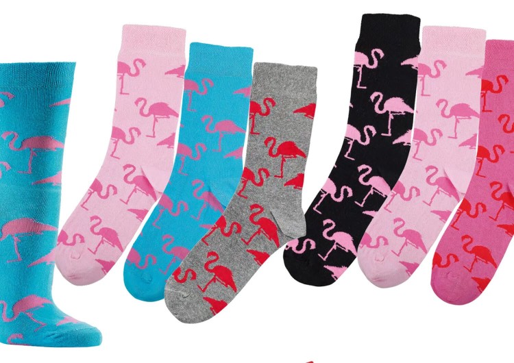 Der neueste Sockentrend: bunte, witzige Socken